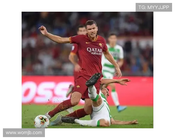 维罗纳俱乐部的辉煌历程与意大利足球文化的传承探索